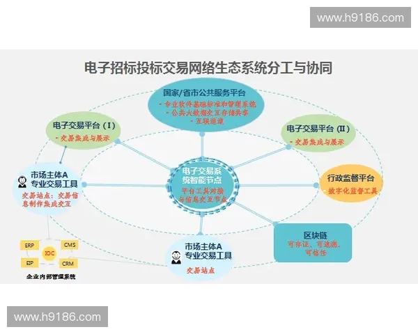 TI赛事规则解析与创新探讨：构建更加公平竞技环境的可能性